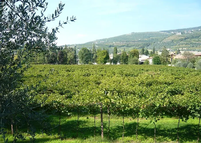 Relais Selle 게스트하우스